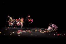 ALICE PEROTTI - Alice PEROTTI